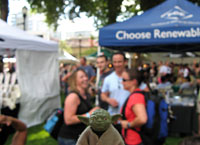 Yoda at the Portland International Brewfest