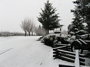 Snow at my parents house on Christmas day