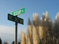 Intersection near Kennedy School