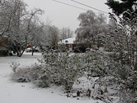 Snow in NE Portland, 2008